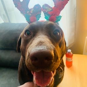 Meet your Posher, Jordan